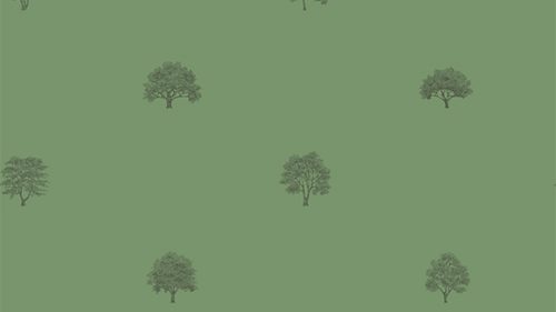 Arboretet 227-68